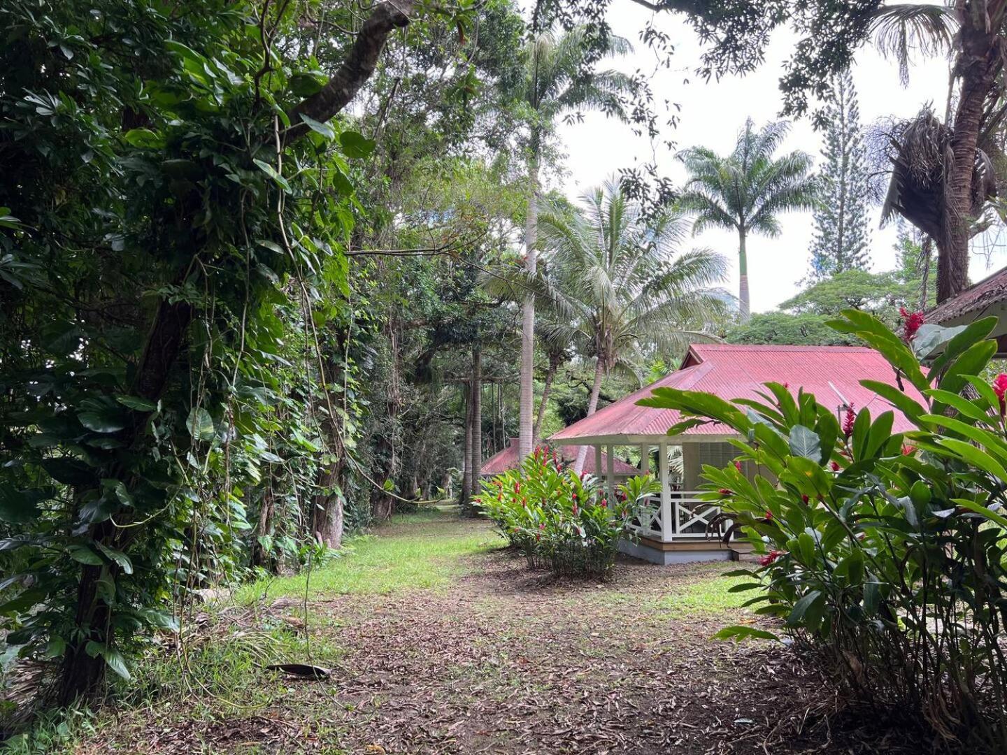 Evasion Bungalow D'Antan Spa Sarraméa Buitenkant foto